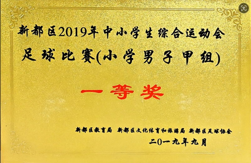 2019年9月中小學生綜合運動會足球比賽(小學男子甲組)：一等獎